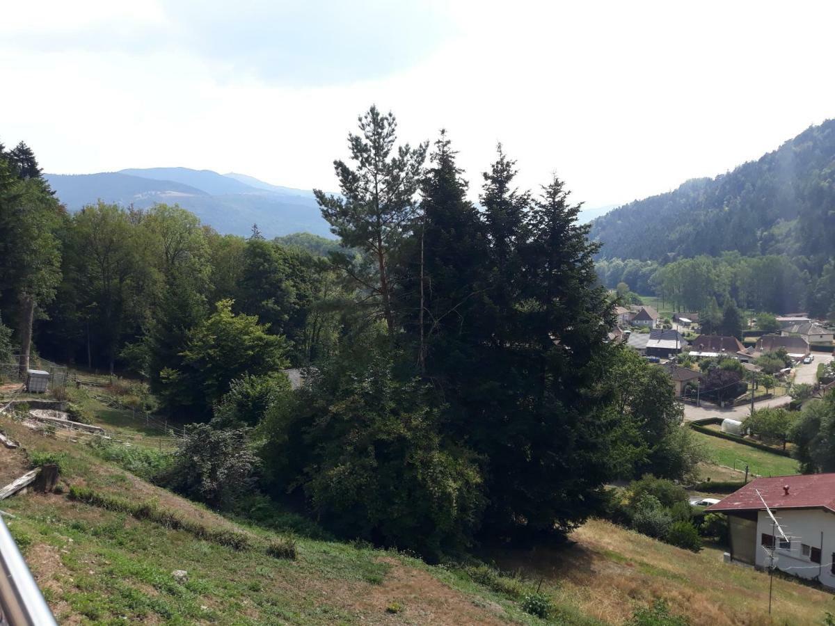 La Maison Des Savoyards Husseren-Wesserling Bagian luar foto